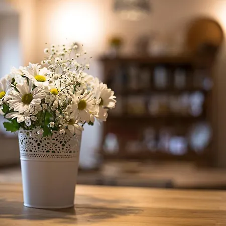Agriturismo Casa Antheia Agroturismo Monteleone dʼOrvieto