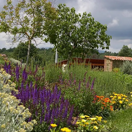 Agriturismo Casa Antheia Monteleone dʼOrvieto